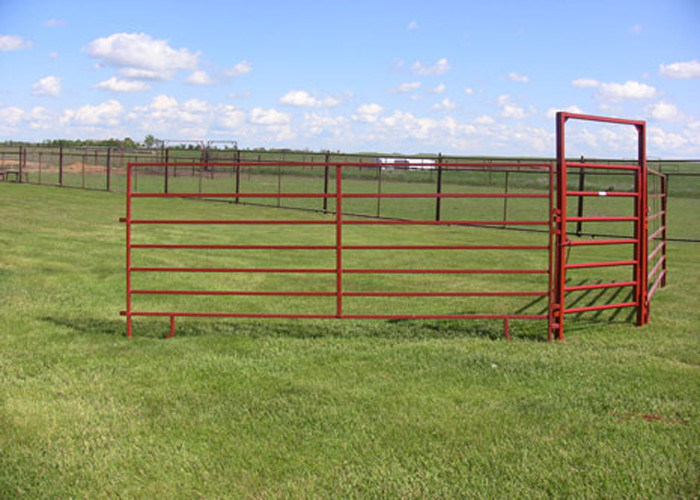 PVC Coated Horse Corral Panels / Horse Gate Panels Sturdy And Durable