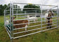 Metal 12 Ft Long 5ft Livestock Sheep Yard Panels High Galvanized Pipe