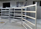 Portable cattle yard panels 6 rails oval tube galvanized or powder coated