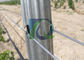 High Strength Metal Vineyard Trellis Posts 2400x1.5MM Agricultural Orchard Trellis