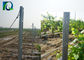 Hot Dipped Galvanized Steel Vineyard Post 2.0mm For Grape Growing