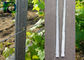 54x30MM Steel Weatherproof Vineyard Fence Posts