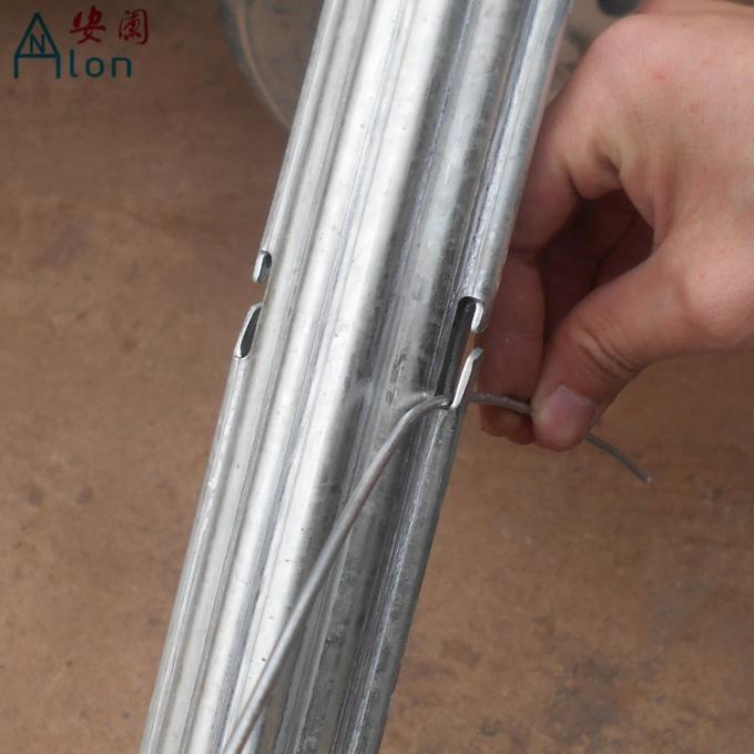 C Type Metal 1.5mm Grape Vine Stakes 1.83.5M Height