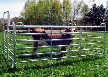 New Zealand Cattle Yard Panels 6 Rails Strong Anti Corrosive Capability
