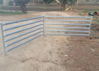 Portable Gate Panels / Sheep Yard Panels 0.9 Meter X 2.1 Meter Square Tube 50mm