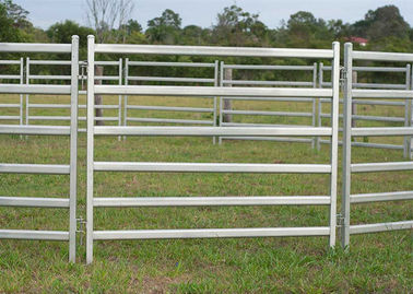 1.6 X 2.0M Galvanized Cattle Yard Panels Lightweight For Easy Handling
