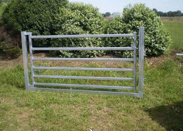 Portable Cattle Yard Panels Corral Sheep Panel 50X50MM Vertical Tube 4FT X 8FT