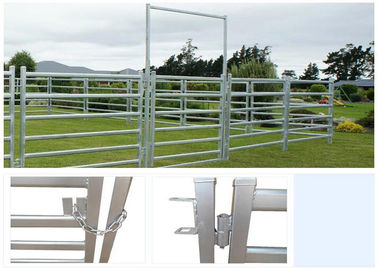 Heavy Duty Galvanized Livestock Metal Fencing , Farm Fence Panels 50X1.5MM Post