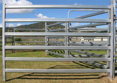 Oval Rail Tube Farm Fence Panels 2mm Thickness For Sheep Horse SGS Listed