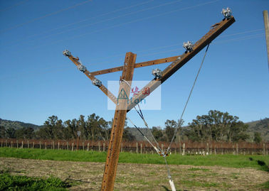 Non - Overlapping Open Gable Trellis System Excellent Ventilation And Air Permeability