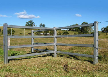 Power Coated Metal Cattle Yard Panels Each Weld Protected With Epoxy Paint