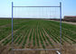 Standard Builders Temporary Fencing 1800mm Height X 2200mm Width OF 32 Pipes