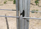 Hot Galvanized Surface Steel Vineyard Posts Rust Resistant And Waterproof