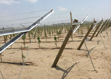 Unique Open Gable System Enhances Plastic Covering Program For Fall Harvest