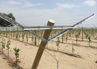 Unique Open Gable System Enhances Plastic Covering Program For Fall Harvest