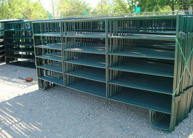 38MM Round Pipe Corral Fence Panel  Panel Size 6X12FT with 6 Rails For Usa Market