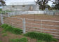 Galvanized Square Tube Livestock Fence Panel With 40X40MM For 1.5MM thickness Used in New Zealand