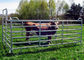 Livestock Fence Panel With Oval Tube 30X60MM  Vertical Tube 40X1.5MM For New Zealand Market