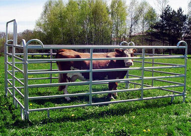 Livestock Fence Panel With Oval Tube 30X60MM  Vertical Tube 40X1.5MM For New Zealand Market