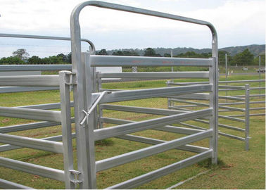 Australia1.8mx2.1m Portable Gate Panels 6 Rails Pre - Hot Dipped Galvanized