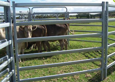 Heavy Duty Galvanized Cattle Yard Horse Fence Panel Gate Line Post 50MM