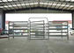 Metal Livestock Field Portable Stockyard Panels For Cattle Sheep Or Horse 1.8X2.1 Meter