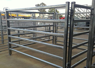 1.5 X 2.1 M Cattle Yard Panels , Metal Cattle Panels Galvanized / Pvc Coated For Farm