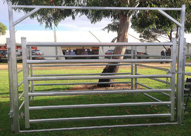 1.5 X 2.1 M Cattle Yard Panels , Metal Cattle Panels Galvanized / Pvc Coated For Farm