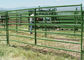 Stainless steel portable horse yard panels cattle handling systems size customized