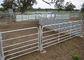 Customized size farm fence panels , cattle yard gates hot dip galvanized surface treatment