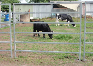 1.8*2.1m heavy duty 8 cattle yard gates / portable yard panels with oval pipe