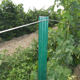 Durable Grape Vine Stakes / Galvanised Steel Vineyard Posts Package In Pallet