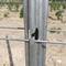 Spain Style Grape Manor Metal Vineyard Trellis Posts 2.4m H For Vine Plants