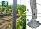 Anti Rust Metal Vineyard Trellis Posts With H Shaped Holes For 1.6-3.0MM Wire