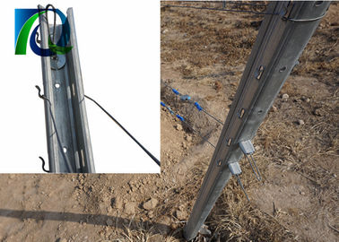 HDG 54x30mm 1.5MM Orchard Post With Accessories