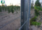 Galvanised 50x40MM Vineyard Trellis Posts For Big Wine Garden