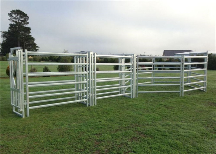 Heavy Duty Livestock Cattle Yard Panels Australia Standard 1.8m High 6 ...