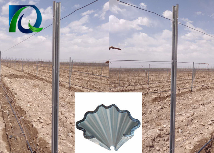 Temporary Steel Posts 2.0MM Thick Metal Trellis Posts Heavy Duty With W Shaped Section Recyclable