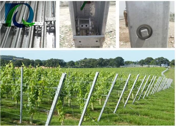 1.5mm 54X30MM Grape Trellis Post With 2 Side H Holes
