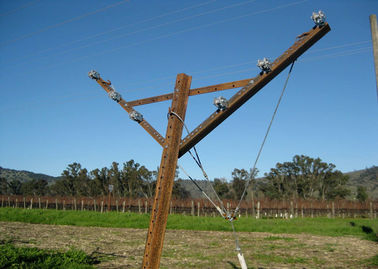 Y Shaped Open Gable Trellis System For Vineyard With Full Accessories