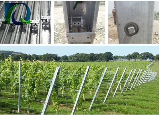 1.5mm 54X30MM Grape Trellis Post With 2 Side H Holes